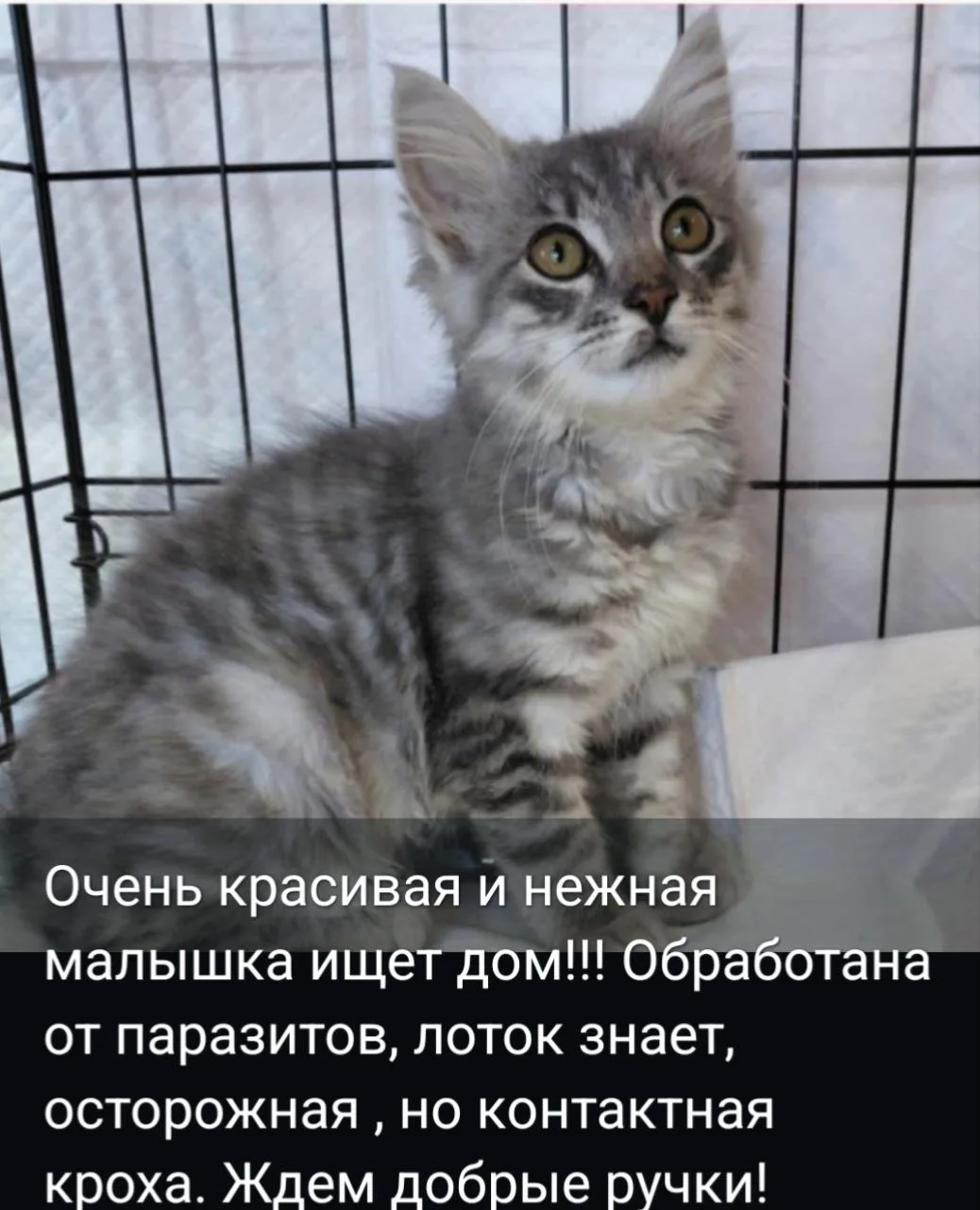 Писать вацап, мах 89964234317, г. Артем