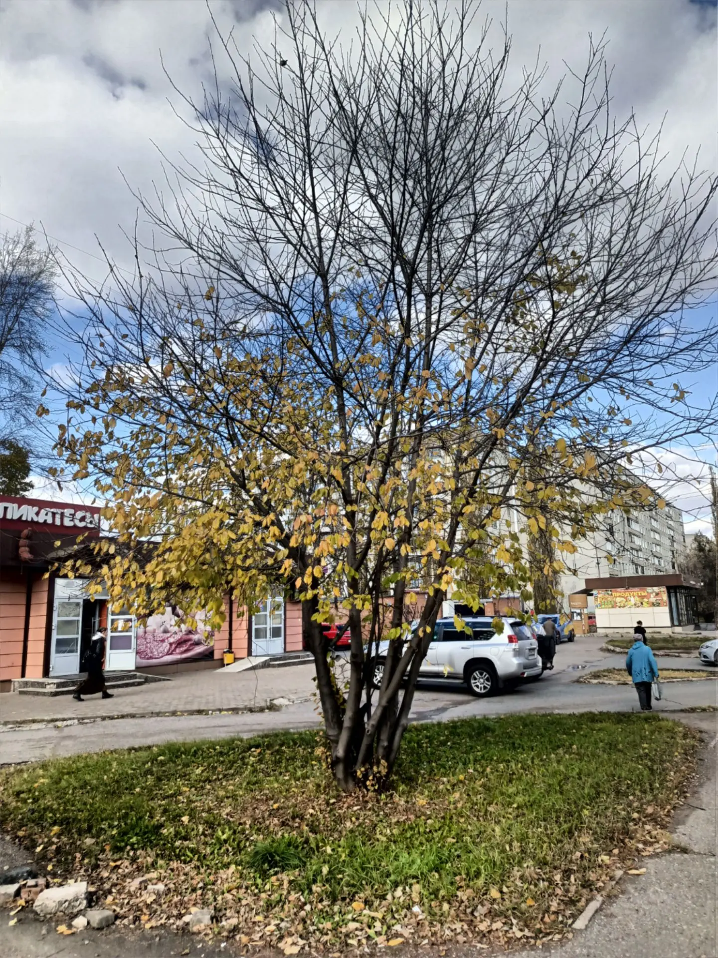 🍂Инорс, октябрь🍂