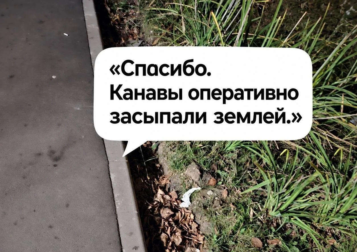 👍 Проблему с ямами на Кировоградской решили