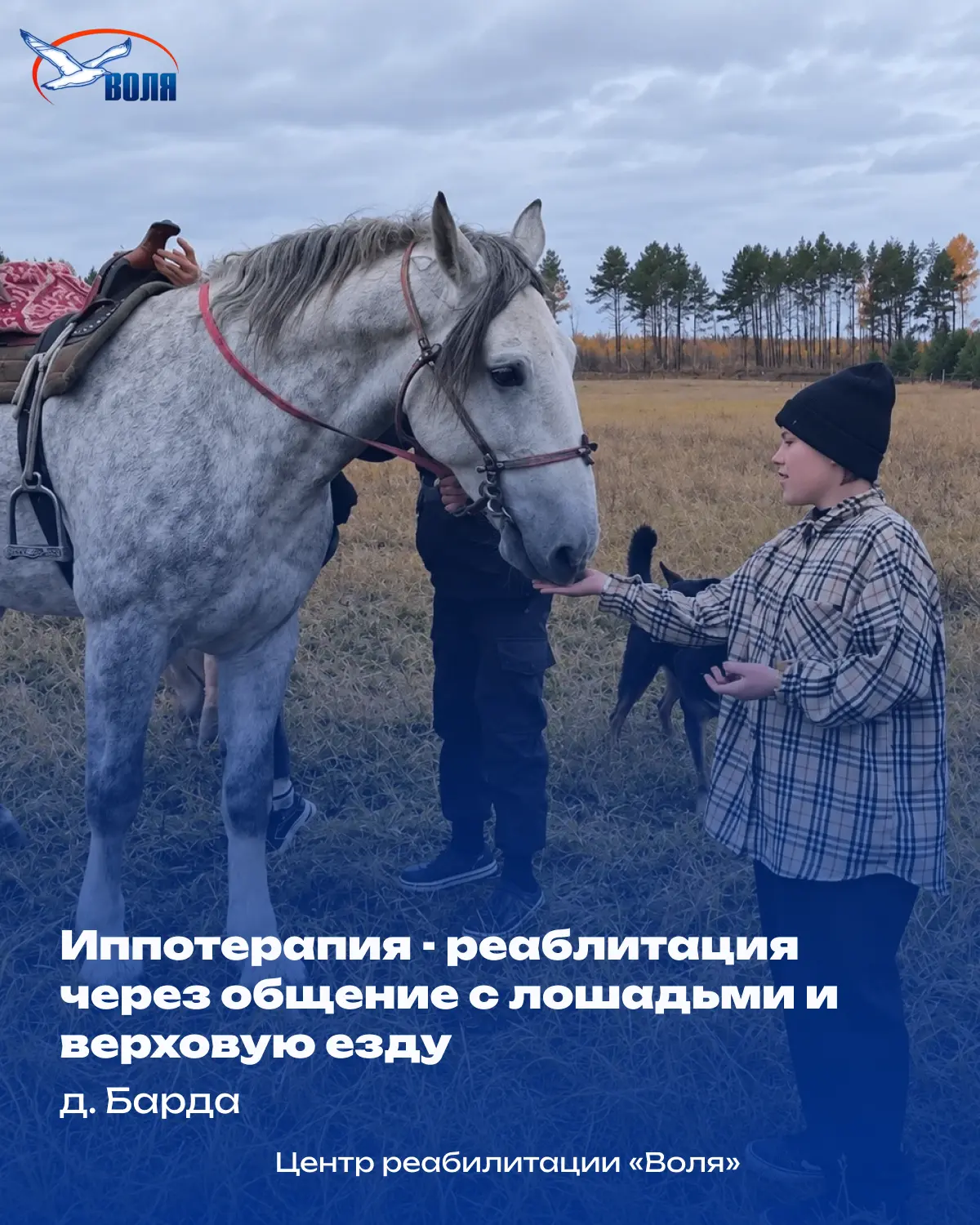 В нашем реабилитационном центре есть направление, которое многие называют «терапией тиш...