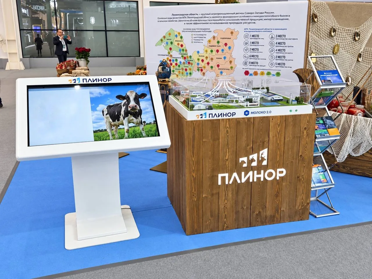 🍁 «Золотая осень – 2026» в самом разгаре!