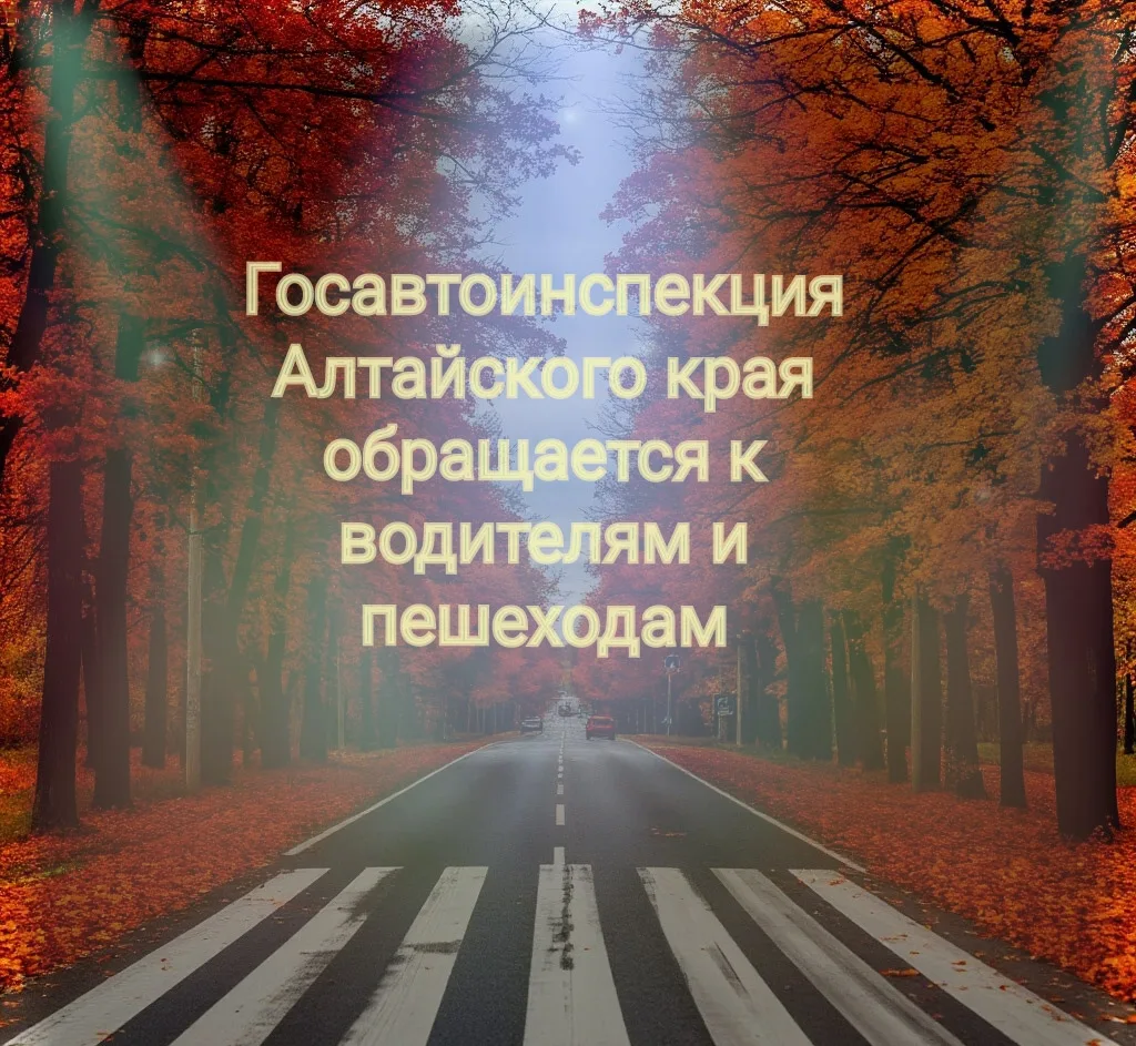 Госавтоинспекция Алтайского края обращается к водителям и пешим участникам дорожного дв...