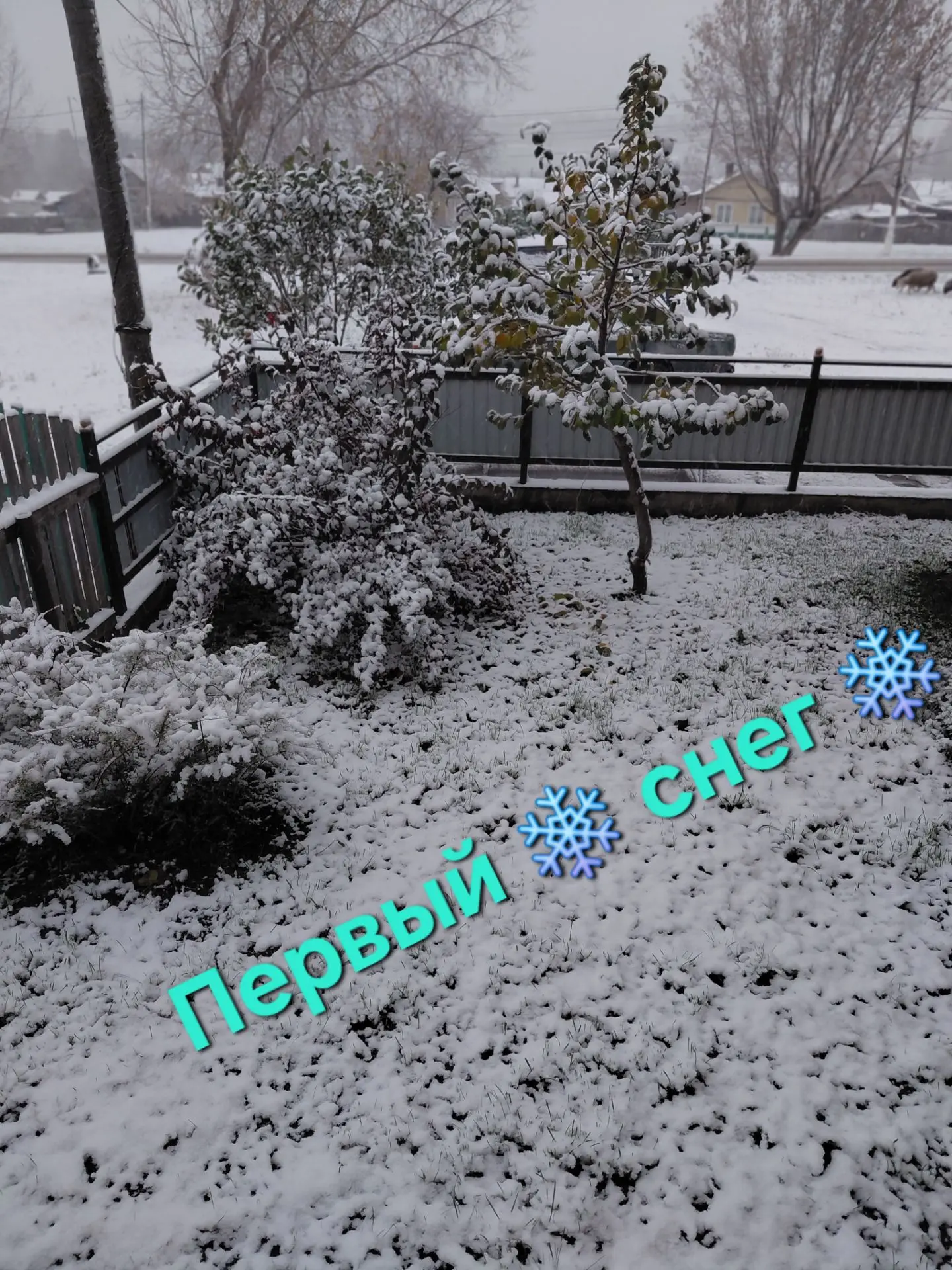 ❄️❄️❄️❄️❄️❄️❄️