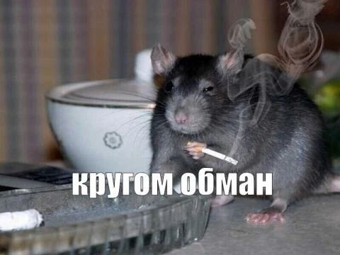 ⚡️Ясно, лохотрон, короче