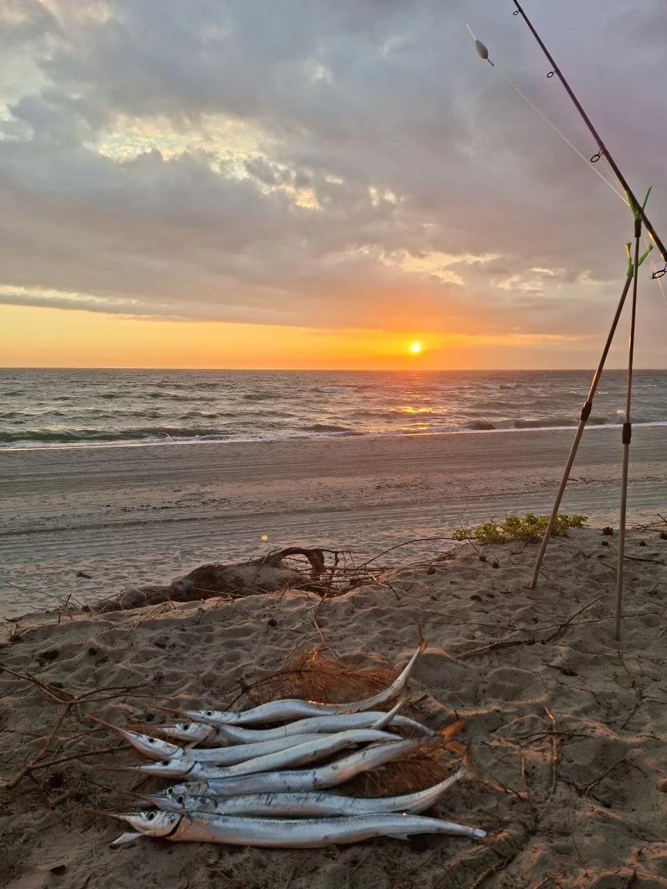 https://t.me/fishing39rus