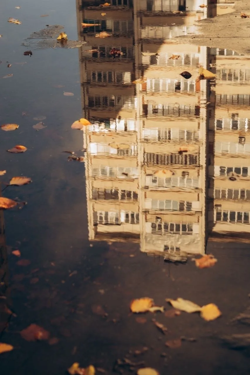 🍂 Осень в Мытищах