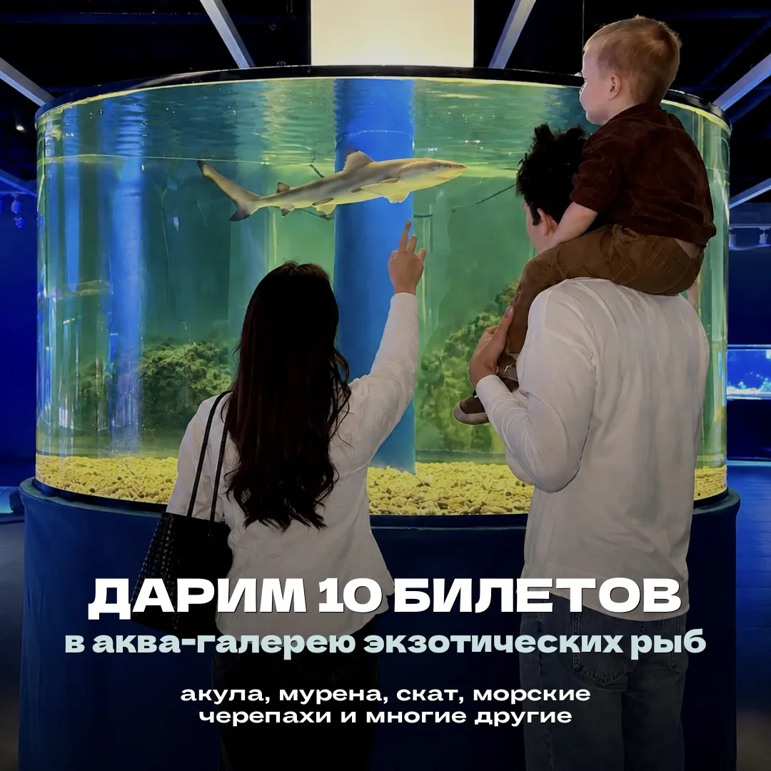 Набережные Челны, дарим 10 билетов в аква-галерею экзотических подводных обитателей 🔥