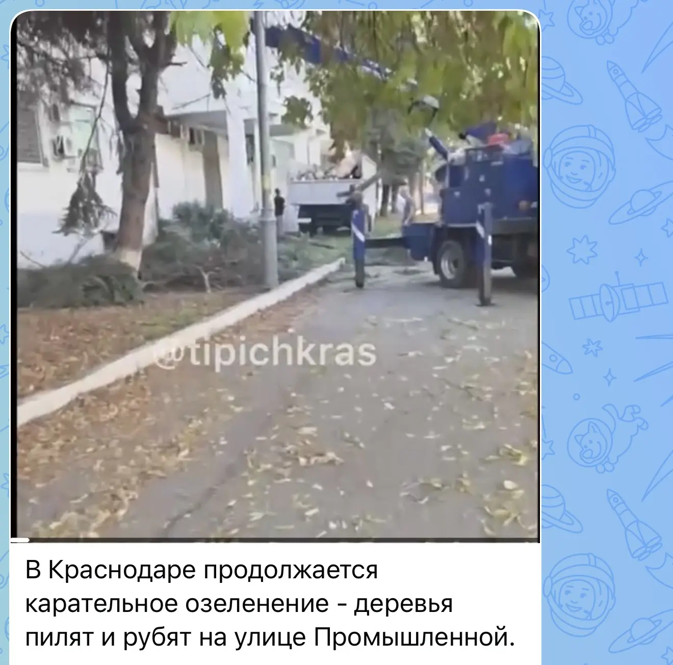 🪵 О вырубке деревьев на улице Промышленной