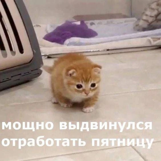 Подборка промокодов!