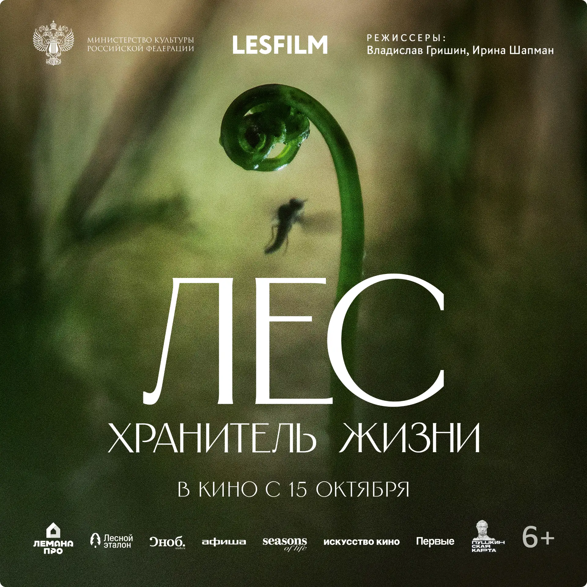☘️ Лес, которому двенадцать тысяч лет