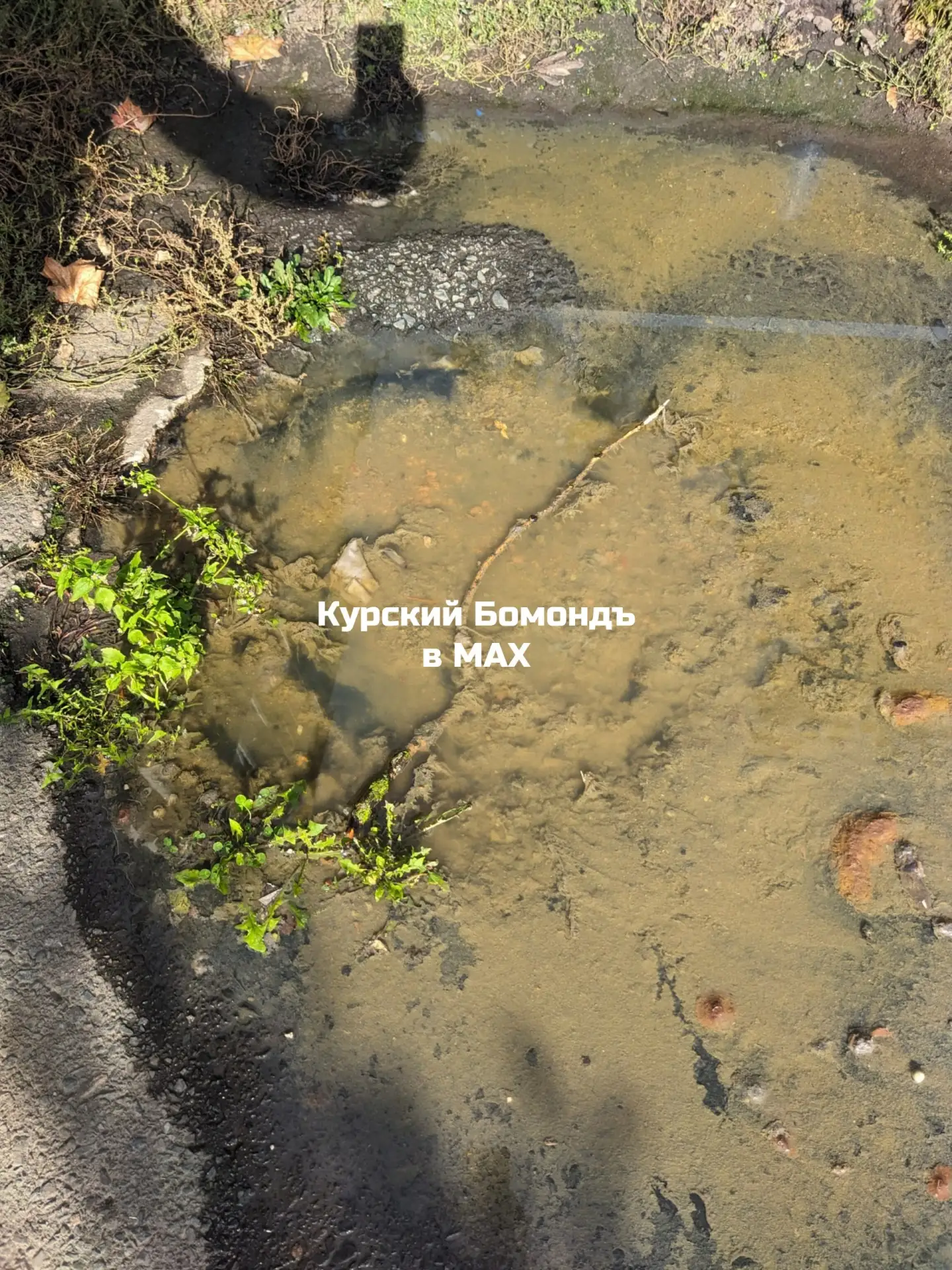 #нампишут