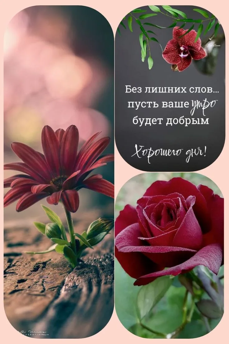 ♥️♥️♥️
