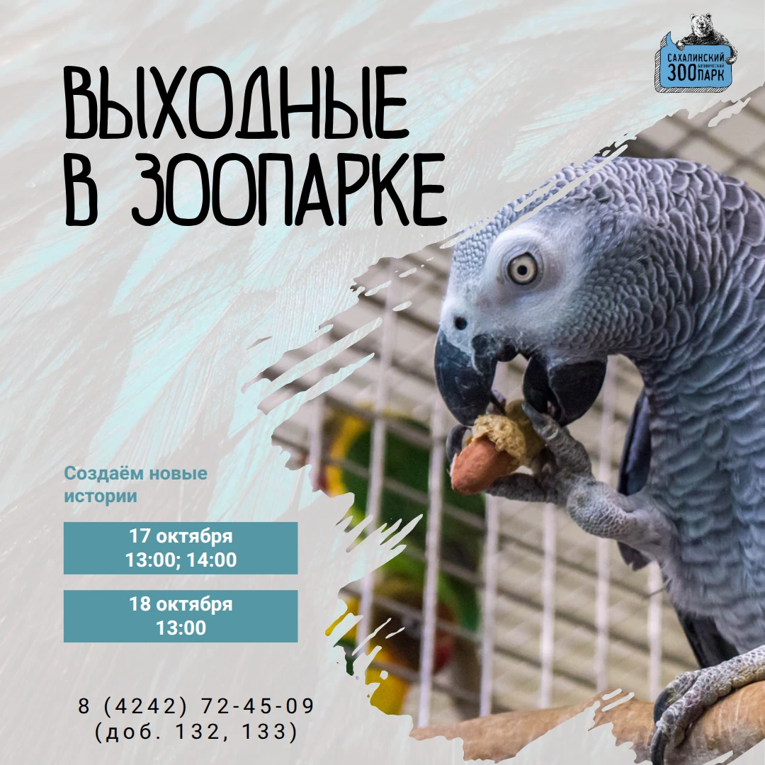 🙌 На этих выходных вас ждут не только привычные мероприятия в субботу, но и увлекатель...