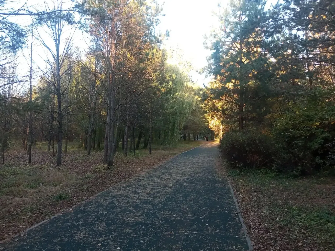 🍁🍂 Солнечный октябрьский день - отличный повод для прогулки