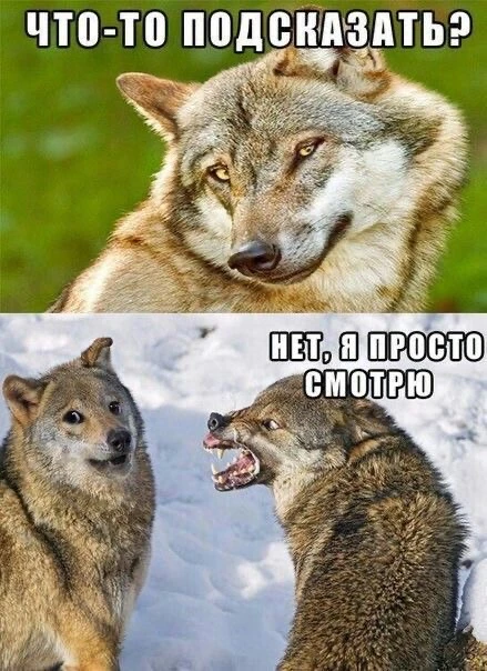 #мыслиавтора