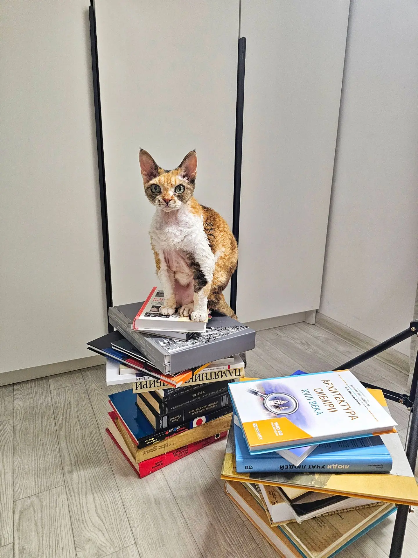 Самообразование один из ключевых прИоритетов экскурсовода😆📚🤣📚