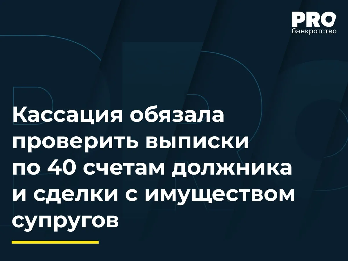 Кассация обязала проверить выписки по 40 счетам должника и сделки с имуществом супругов