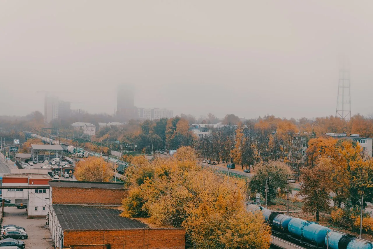 туманы осени