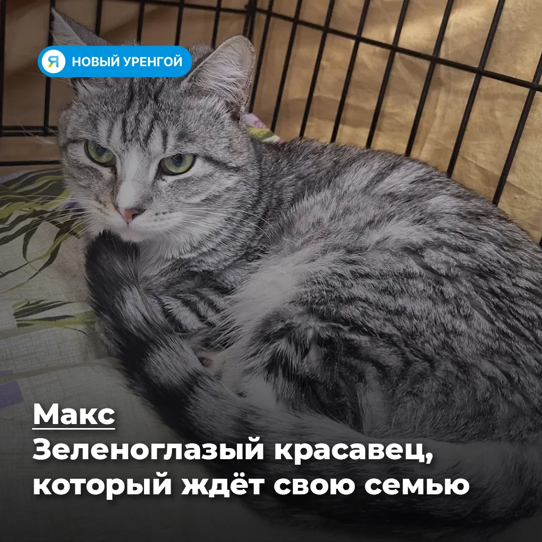 Вы можете подарить им тепло