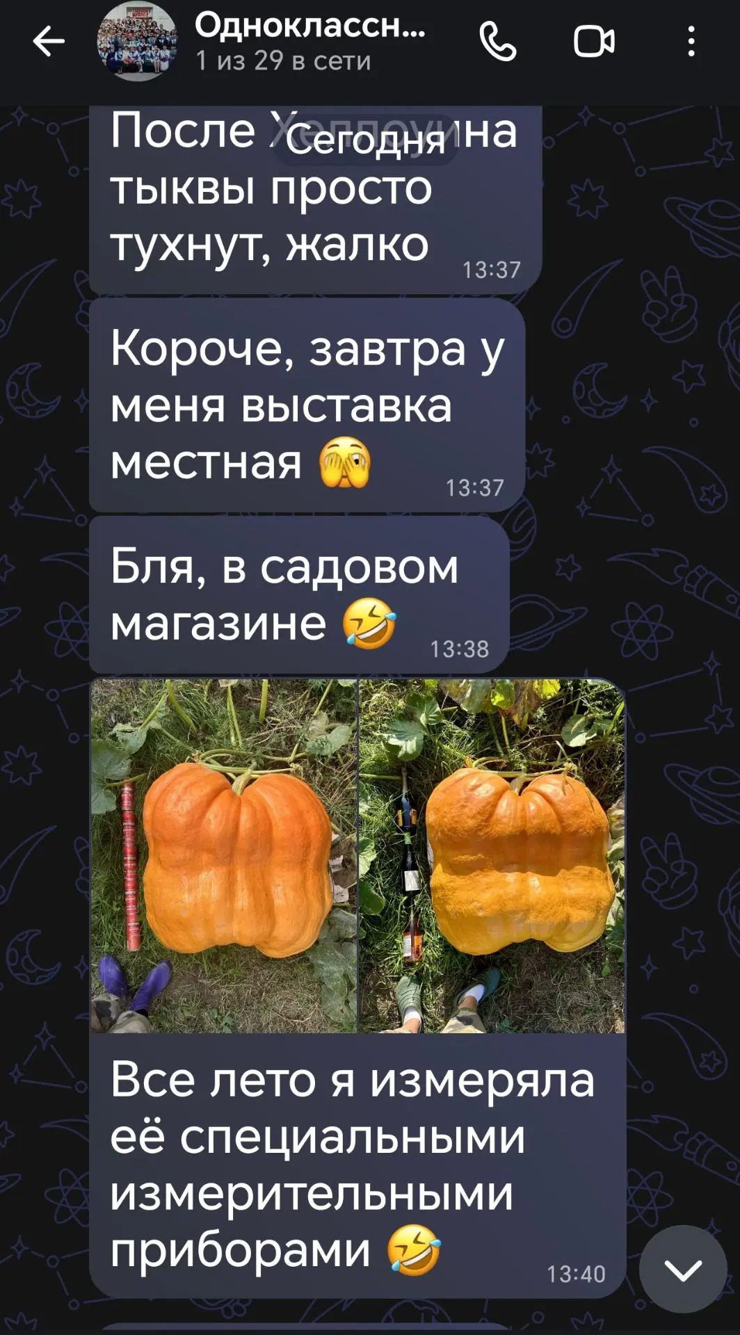 У нас в школьном чате, кажется, началась новая жизнь…