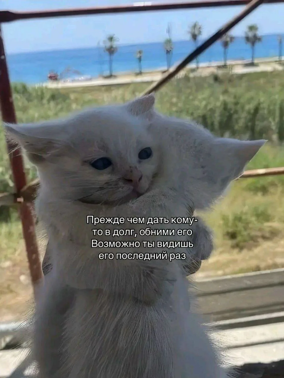 🥰