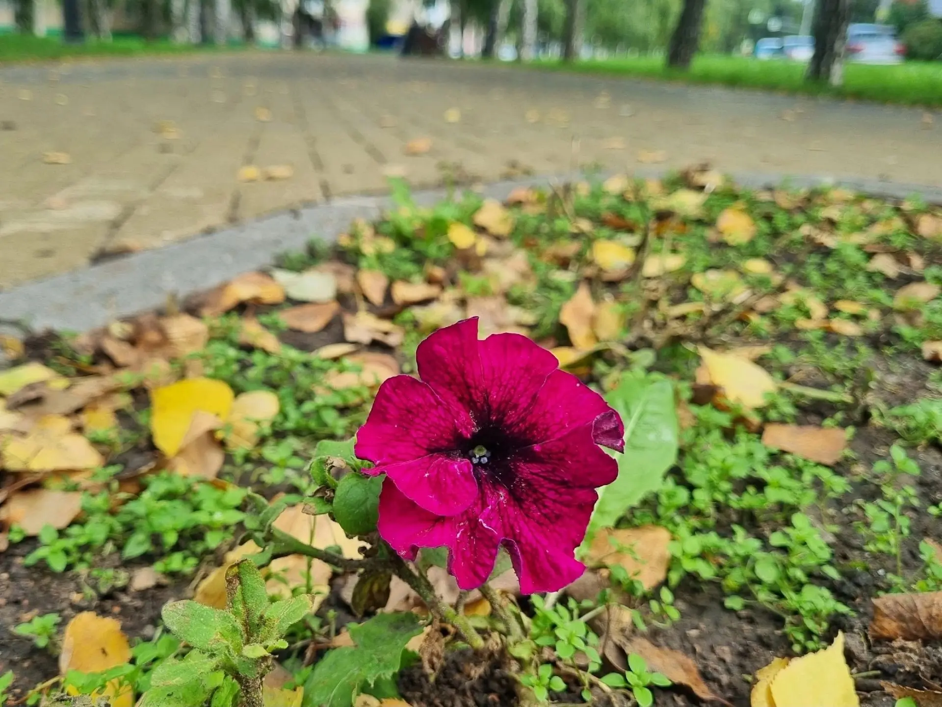 🌤 Доброе утро, любимый город!