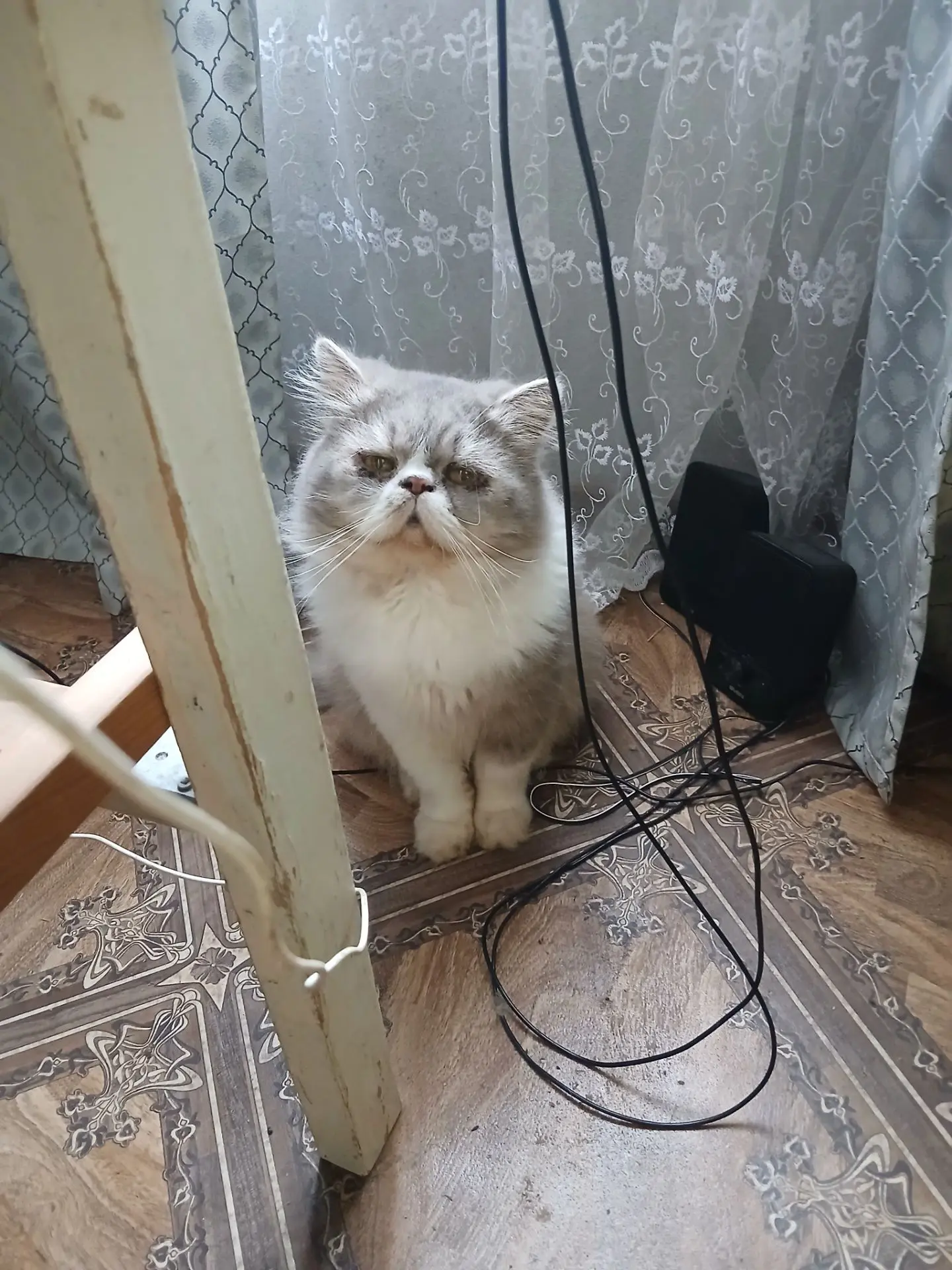 Доброе утро🙏🥰