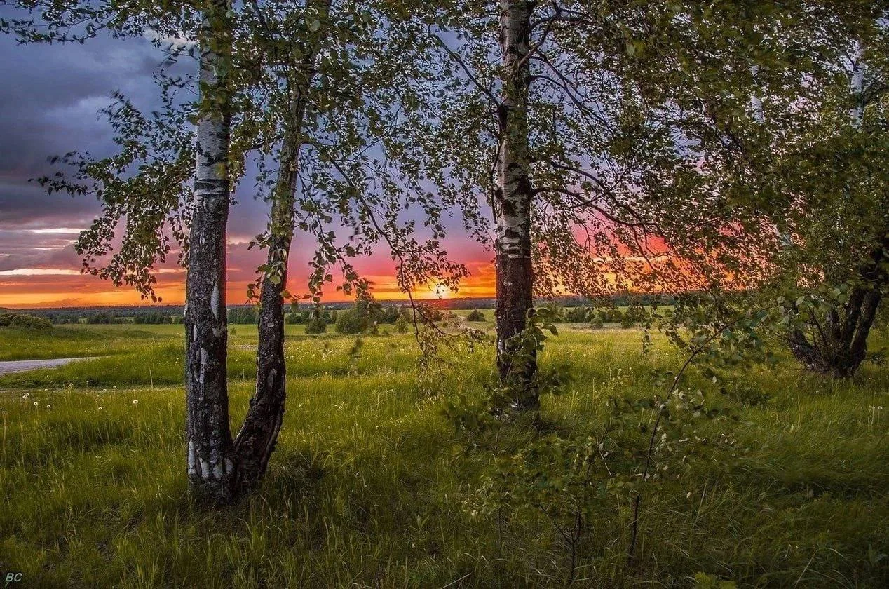 Родные сердцу места…💚