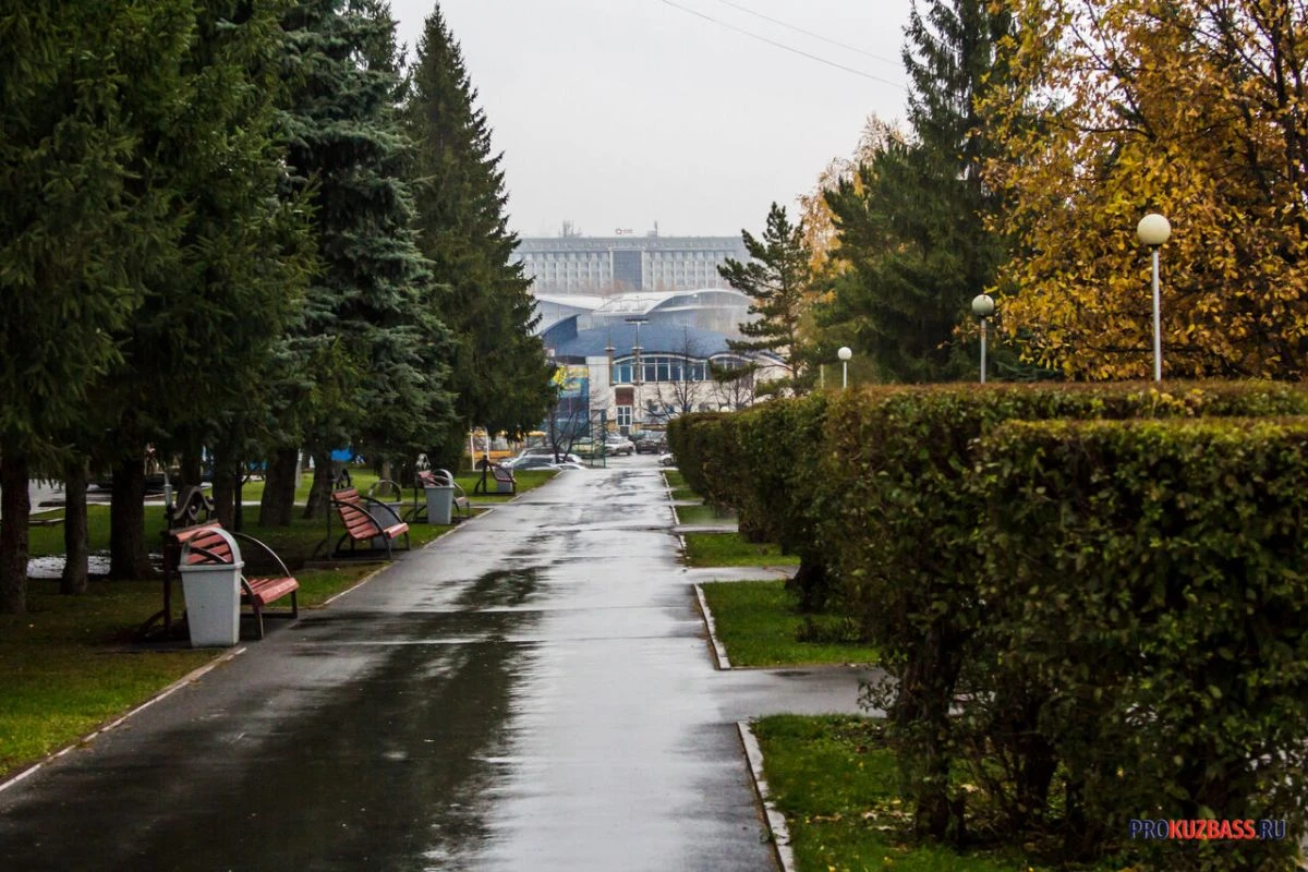 В Кемерове на месте нелегального рынка появится сквер