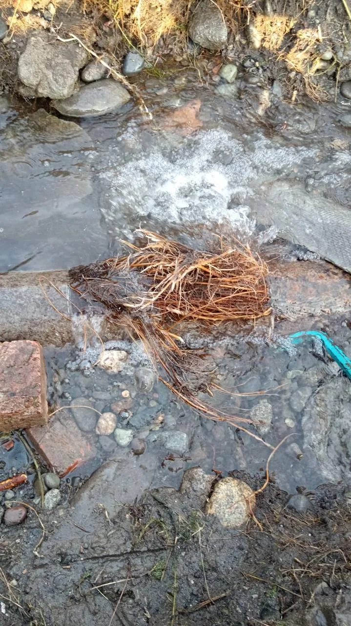 Сотрудники Водоканала обнаружили корни деревьев в водопроводной трубе в Карджине.