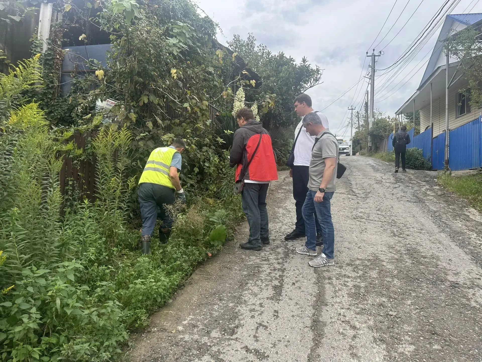В Адлерском районе проведен мониторинг фактов сброса хозяйственно-бытовых сточных вод в...