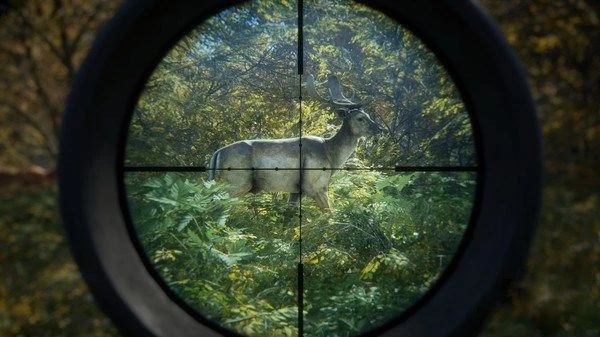 🦌 Охота — это не только практика, но и знание законодательства