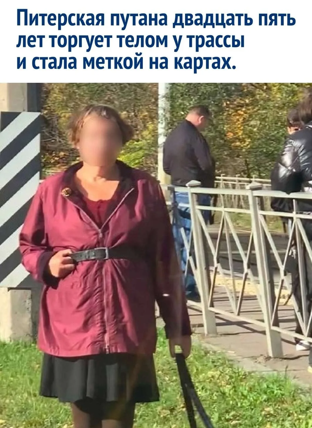 На протяжении почти двадцати пяти лет на Петергофском шоссе не исчезает один мрачный до...