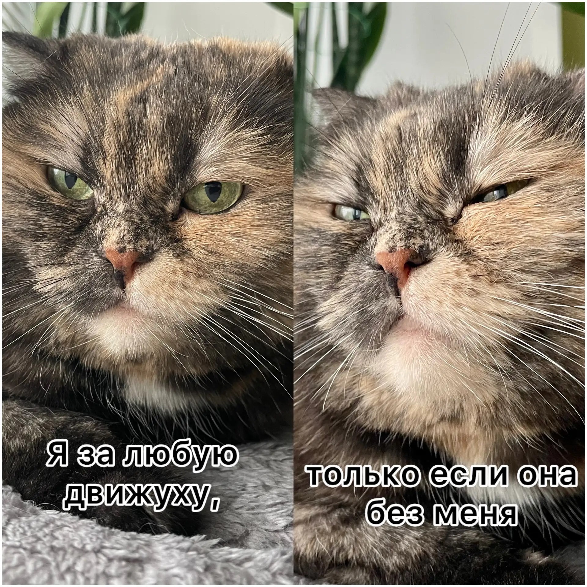 И подальше от меня😼