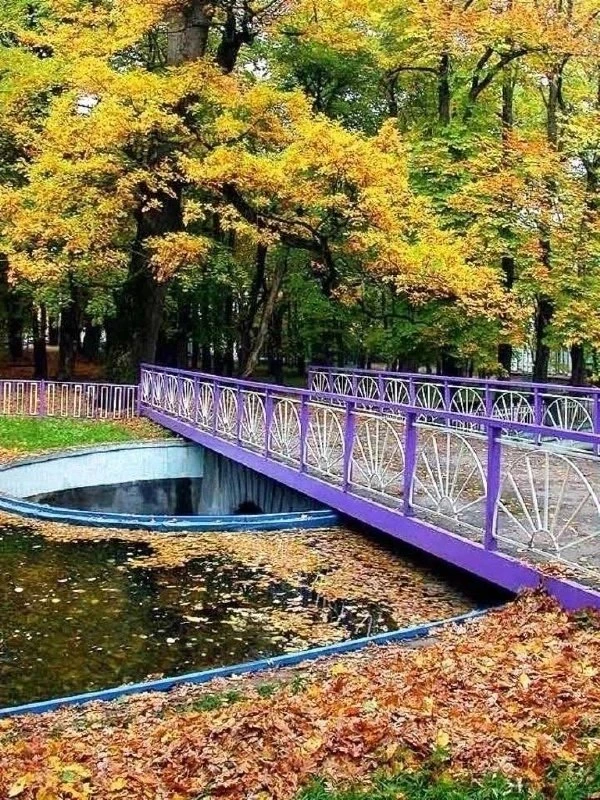 До зимы меньше 50 дней, а в среду в Ставрополе ожидают +27°С.