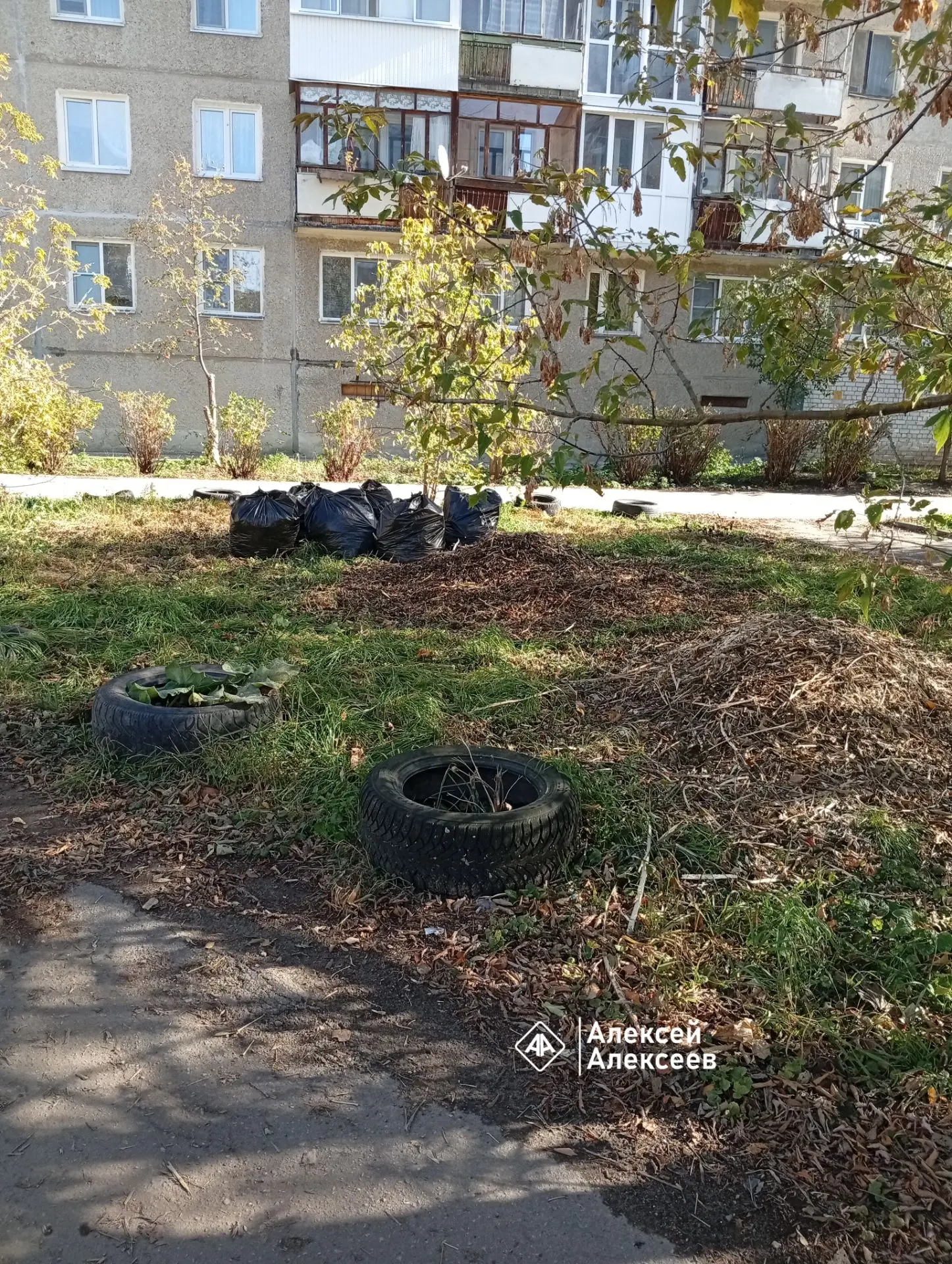 Стали наводить порядок