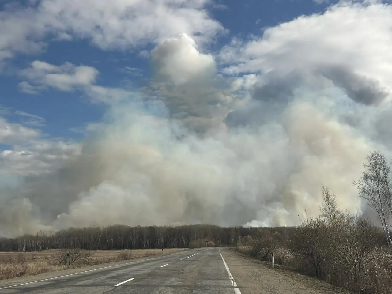 🔥 В ЕАО ввели особый противопожарный режим