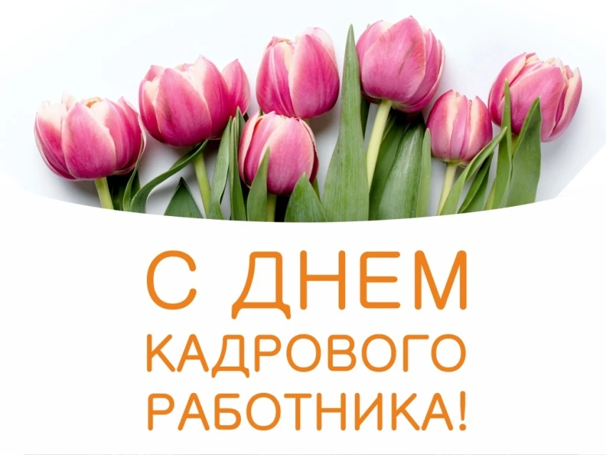 Дорогие кадровики!