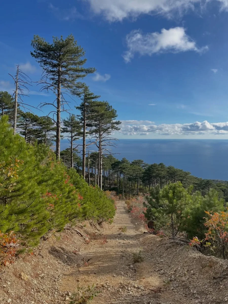 ⛰️ Шаан-Кая - гора, ради которой стоит отправиться в поход!
