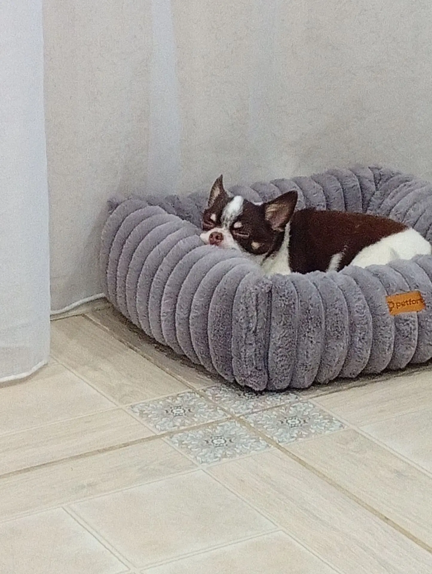 Ждём ужин