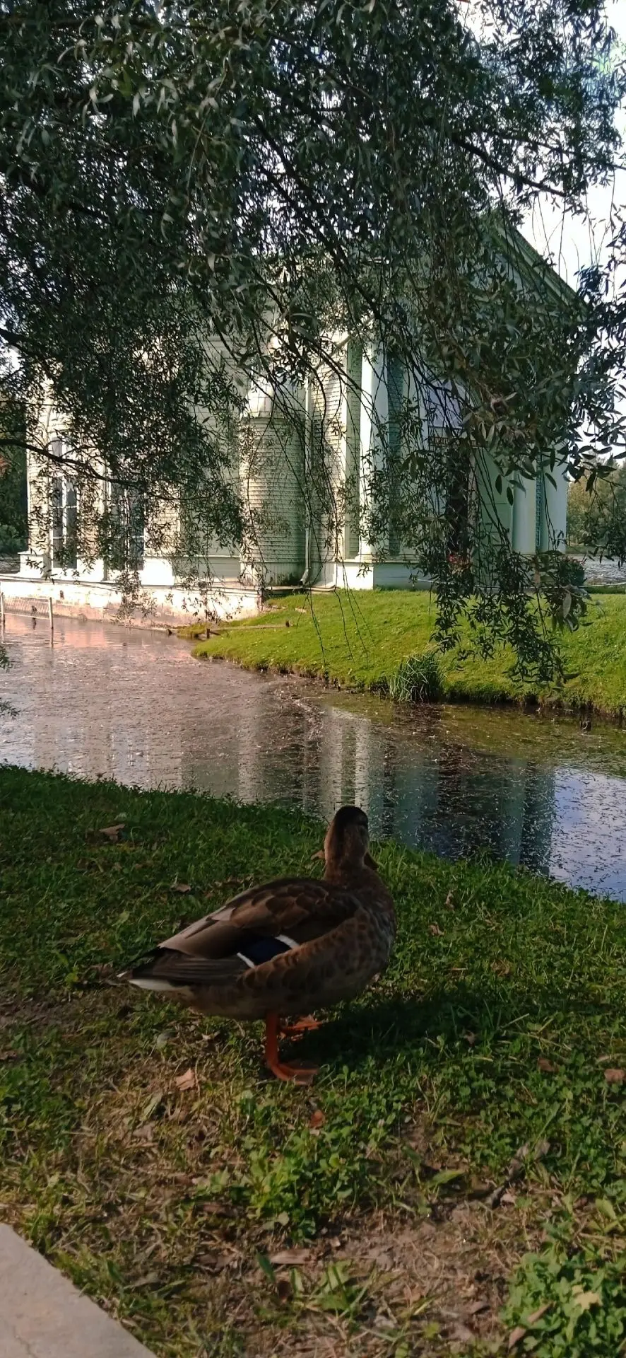 Красота ✨