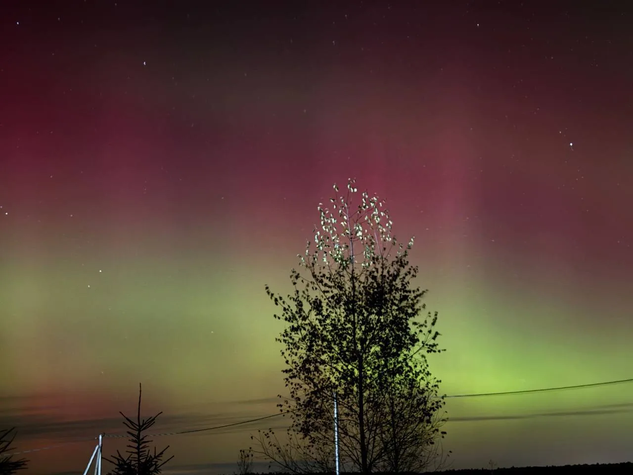 🌌 Северное сияние прямо сейчас в небе над Подмосковьем.