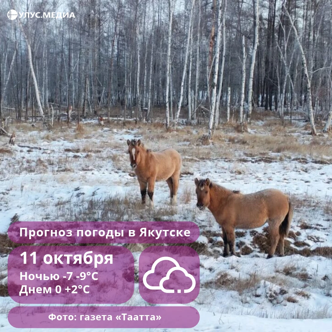 В горах северо-востока до -28 и +8 на юге: о погоде в Якутии 11 октября