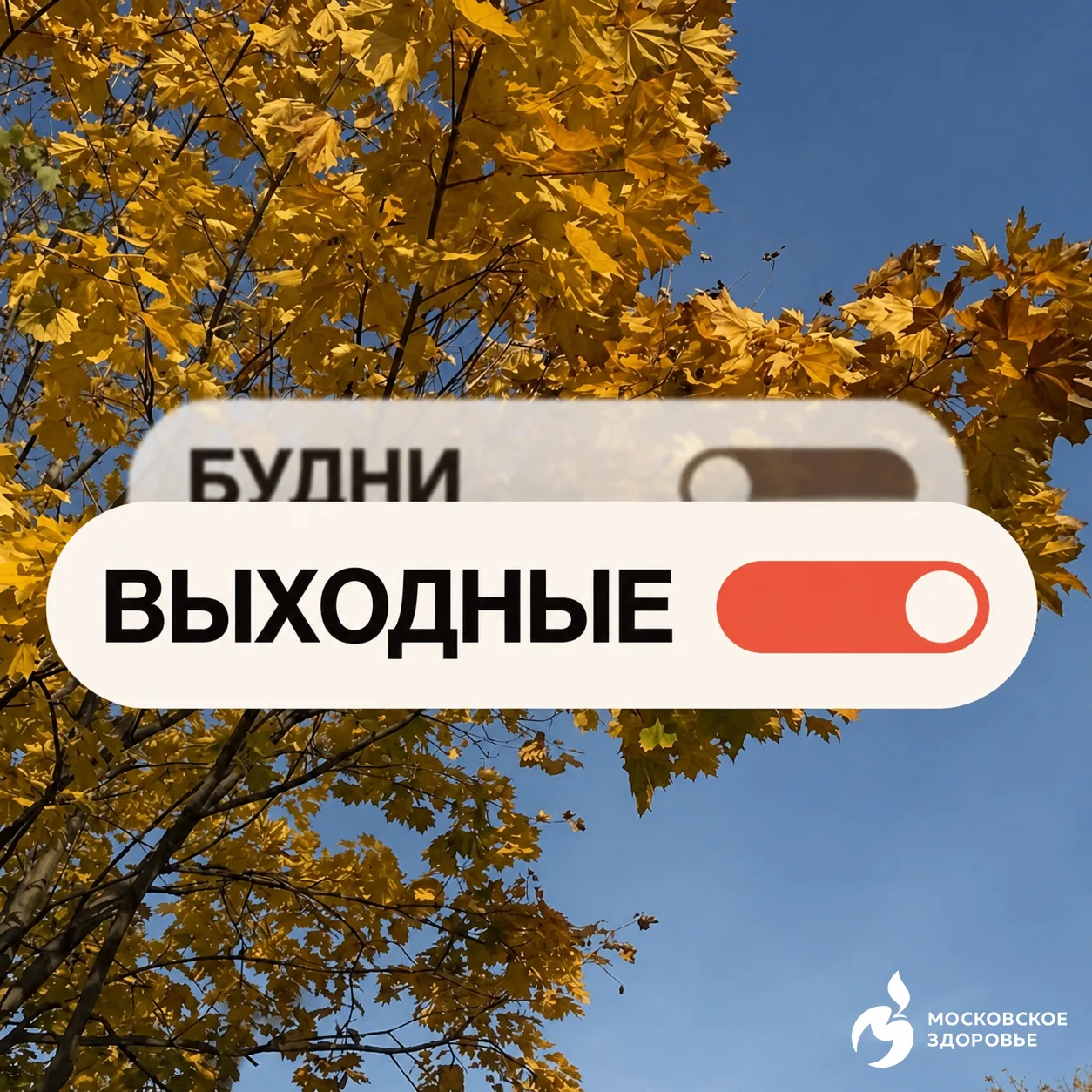 🧠 Доброе утро! Режим ВЫХОДНЫЕ активирован.