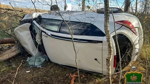 В Калужской области автомобиль «Ниссан Мурано» перевернулся в кювете