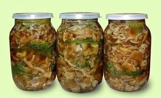🍄 СОЛЁНЫЕ ГРИБЫ