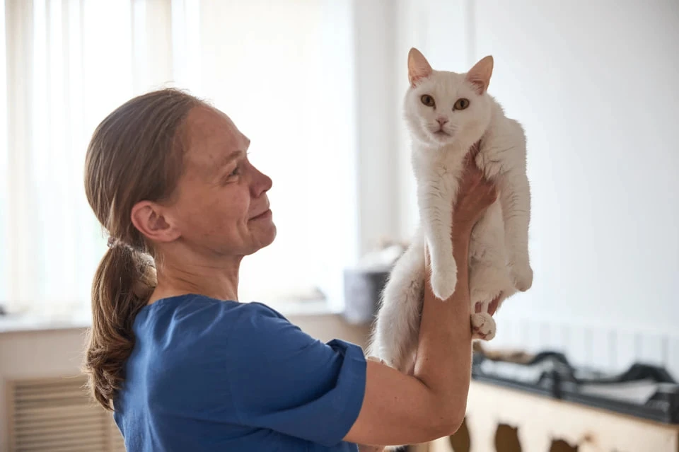 🐾 Успейте сказать спасибо: остались считанные дни, чтобы выбрать лучшую ветеринарную к...