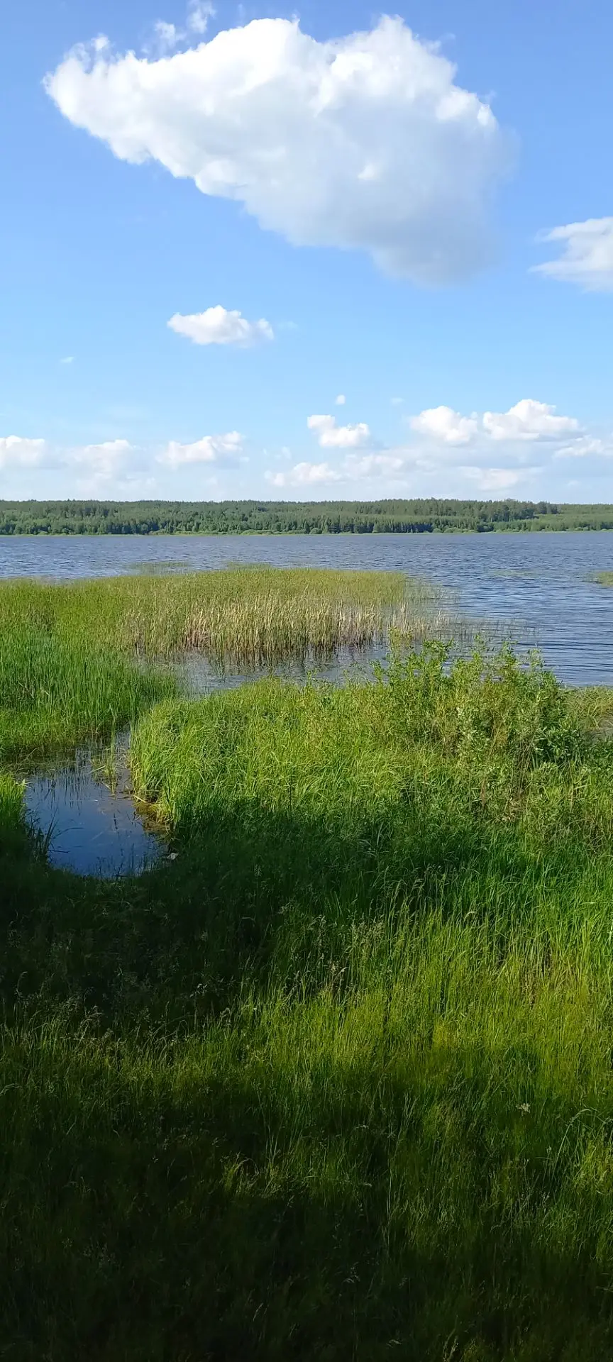 «Когда тебе плохо — прислушайся к природе. Тишина мира успокаивает лучше, чем миллионы ...