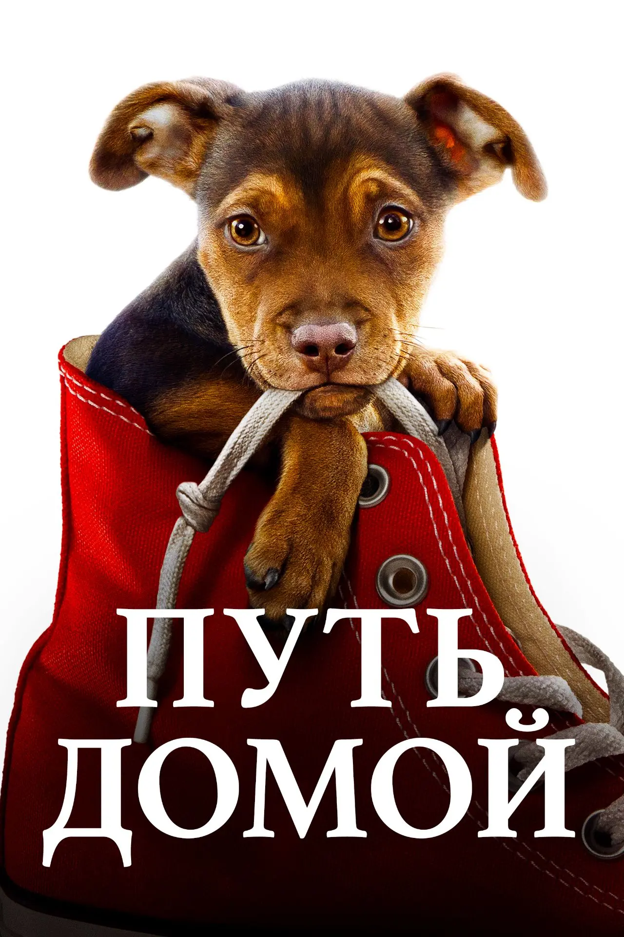 Привет, мои путешественники! 🫶