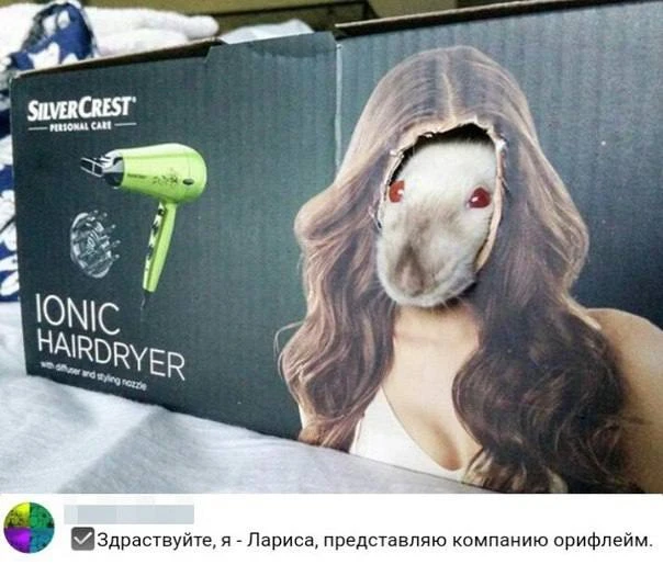 😂😂😂